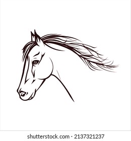 Head of horse in black lines on white background