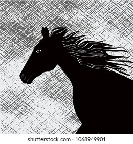 Head horse, close up - abstract, grunge black and white background - vector art illustration