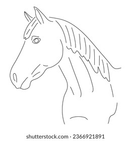 Head of a horse in doodle style. Icons sketch hand made. Vector editable stroke.