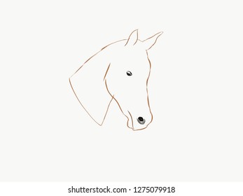 HEAD horse isolate