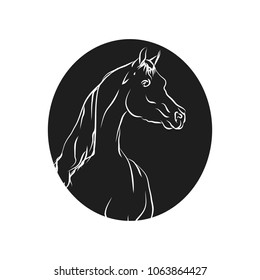 The head of the horse lines in the circle on white background, vector illustration