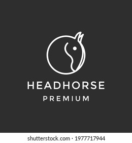 head horse logo vector design template on black background