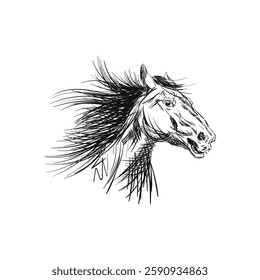 Head Horse Running Art Sketch Drawing. Vector