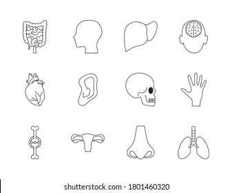 head and human body icon set over white background, line style, vector illustration
