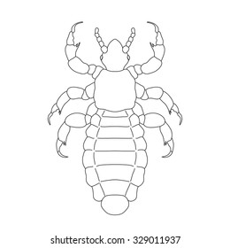 A head  human louse. Pediculus humanus capitis. Sketch of louse.  louse isolated on white background. louse Design for coloring book.  hand-drawn louse. Vector illustration