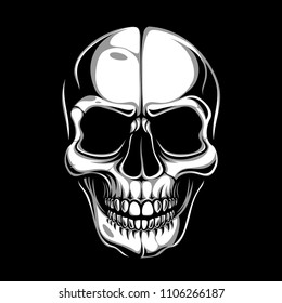 Head of human skull