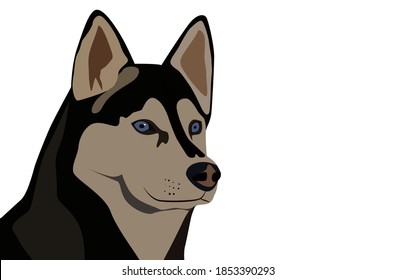 
A head of husky dog. Vector illustration. EPS 10