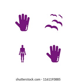 head icon. 4 head set with human body, bird and anatomy vector icons for web and mobile app