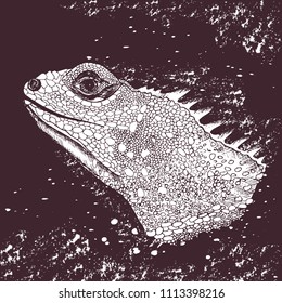 The head of the iguana. Reptiles. Isolated vector illustration. Perfect for shirt or t-shirt design, brand logo, tattoo and decoration