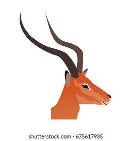 head impala africa mammal wild