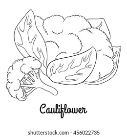 Head and inflorescence of cauliflower with leaves. Isolated with the inscription