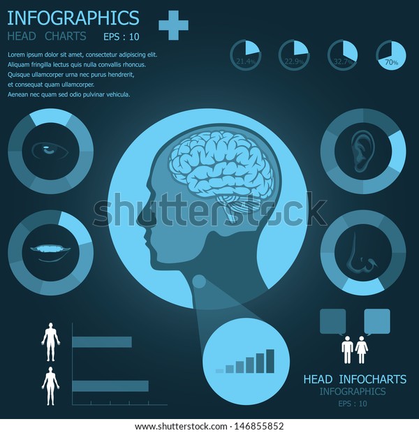 Head Infocharts Stock Vector (Royalty Free) 146855852 | Shutterstock