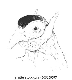 Head of interesting birds. Sketch.