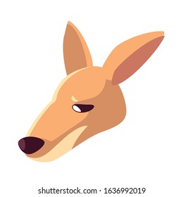 Head of kangaroo on white background. vector illustration design.