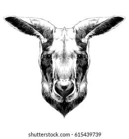 head kangaroo symmetric, sketch vector graphics black and white drawing