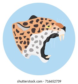 Head of a leopard, leopard. Flat design, vector illustration, vector.