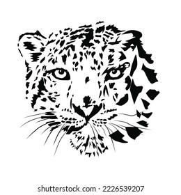 head of leopard vector illustration