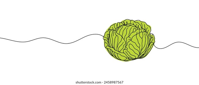 Head lettuce in continuous line art drawing style. Iceberg or crisphead lettuce design isolated on white background. Vector illustration.