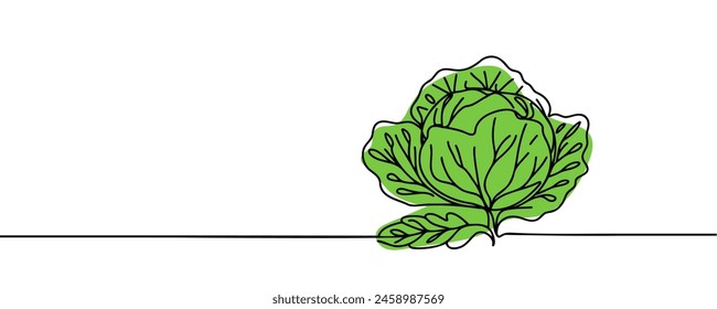 Head lettuce in continuous line art drawing style. Iceberg or crisphead lettuce design isolated on white background. Vector illustration.