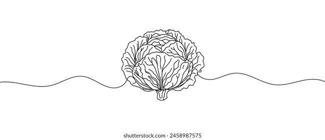 Head lettuce in continuous line art drawing style. Iceberg or crisphead lettuce design isolated on white background. Vector illustration.