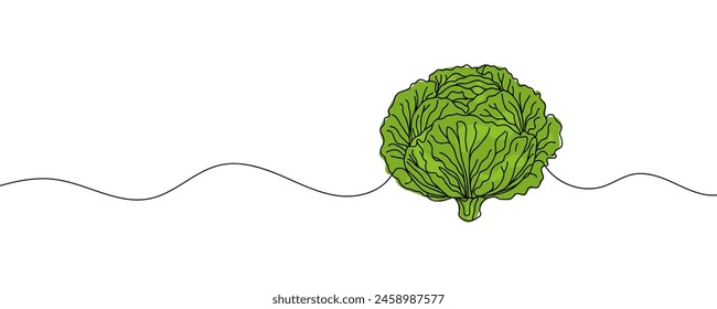 Head lettuce in continuous line art drawing style. Iceberg or crisphead lettuce design isolated on white background. Vector illustration.