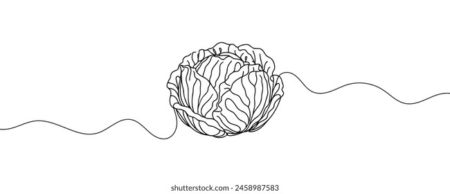 Head lettuce in continuous line art drawing style. Iceberg or crisphead lettuce design isolated on white background. Vector illustration.