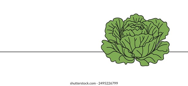 Lechuga de la cabeza en estilo de dibujo de línea continua. Diseño de lechuga de cabeza crujiente o iceberg aislado sobre fondo blanco. Ilustración vectorial