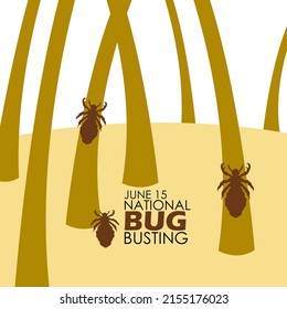 Head lice insects in the hair with bold texts,National Bug Busting Day June 15