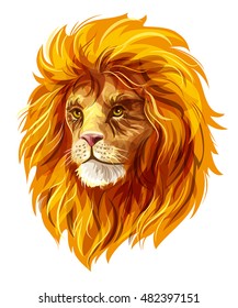 Head of a lion. EPS10 vector illustration