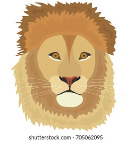 The head of a lion, a lion. Flat design, vector illustration, vector.