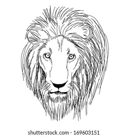 Head of lion hand - drawn