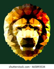 The head of a lion on a green background. Polygonal graphics.