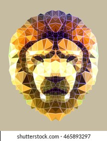 The head of a lion on a light background. Polygonal graphics. 