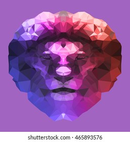 The head of a lion on a violet background. 