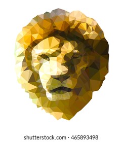 The head of a lion. Polygonal graphics. 