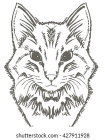 head a little cat