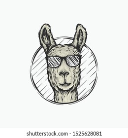 Head Llama Hand Drawing Illustration