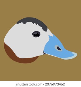 Head of male white headed duck. Oxyura leucocephala. Cartoon style. Isolated vector illustration. On yellow gold background.