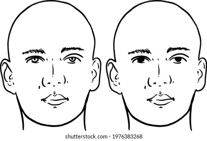 Head Man Face Vector Illustration Stock Vector (Royalty Free ...