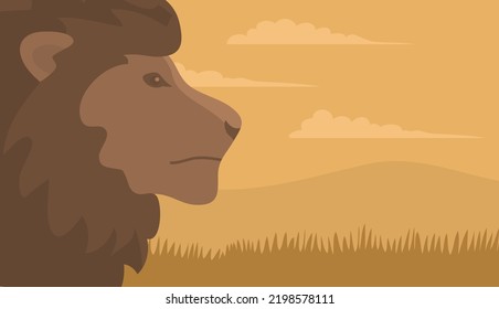 Head of a maned lion in the African savannah. Big cat hunter with a mane. Predatory animal mammal of Africa. King lion. Savannah fauna and zoology. Cartoon vector illustration