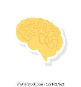 head  mind   brain  