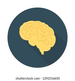 head  mind   brain  