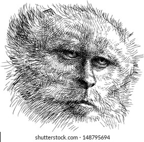 head of monkey