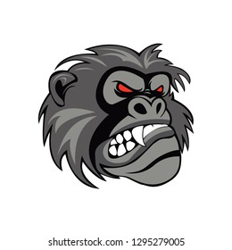 head monkey vector image