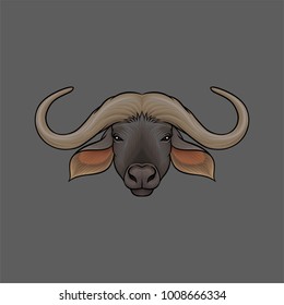 Head of muskox, portrait of wild animal hand drawn vector Illustration