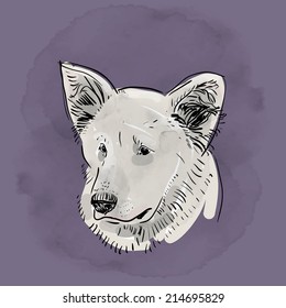 Head, muzzle the dog. Shepherd. Sketch drawing. Black contour on a purple grunge background. vector