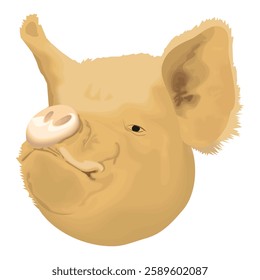 Head muzzle of a large pig with a snout nose and ears with wool. Vector illustration.