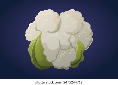 Head of natural cauliflower, vector isolated cartoon vegetable illustration.