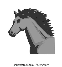  head neck mane of the horse