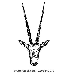 Head of Oryx antelope with big long horns. Scimitar oryx. Oryx dammah. African animal. Hand drawn linear doodle rough sketch. Black silhouette on white background.